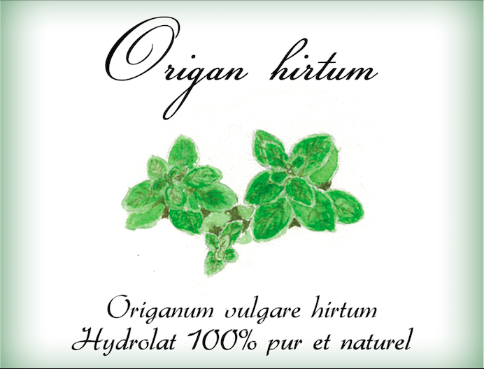 Hydrolat d'ORIGAN BIO Origanum vulgare - 200ml - France-Herboristerie